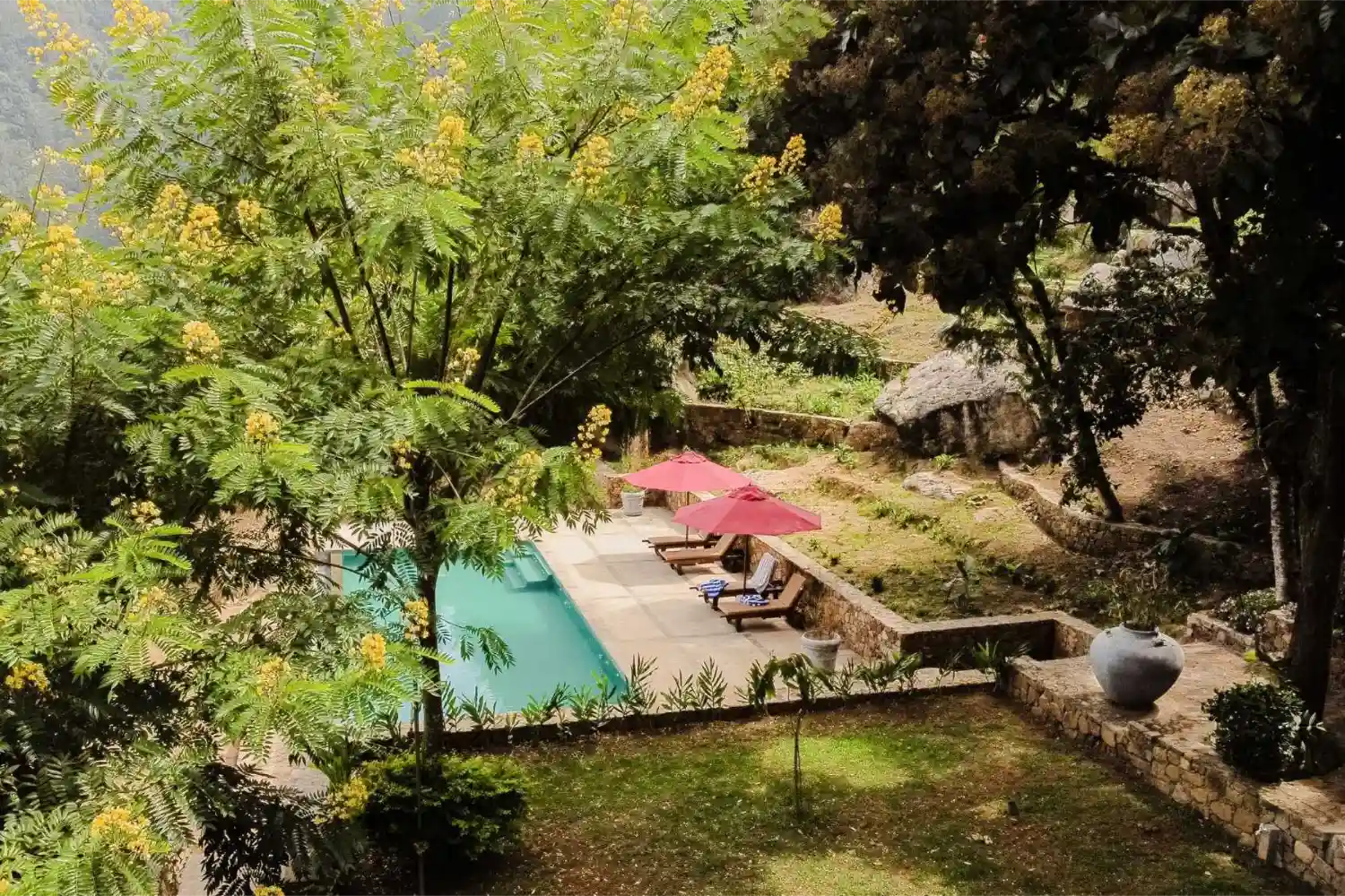 swimming pool in bawlana estate bungalow kirimetiya. private holiday bungalow in sri lanka